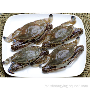 Zhoushan Crab Blue berenang beku